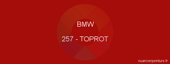 Peinture Bmw 257 Toprot