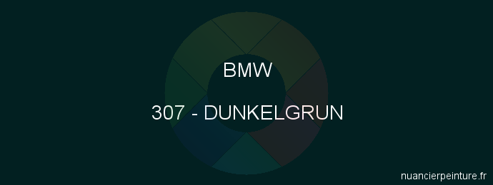 Peinture Bmw 307 Dunkelgrun