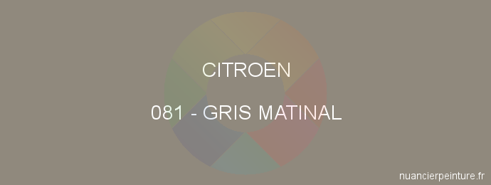 Peinture Citroen 081 Gris Matinal