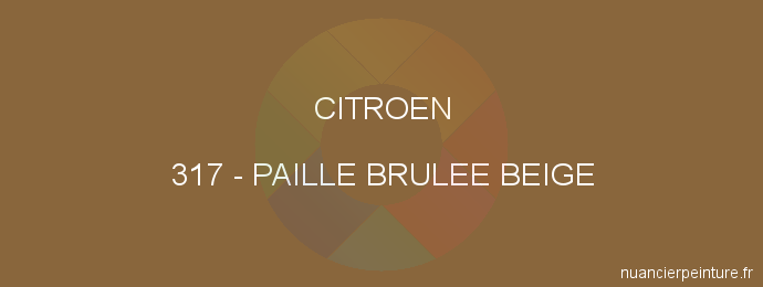 Peinture Citroen 317 Paille Brulee Beige