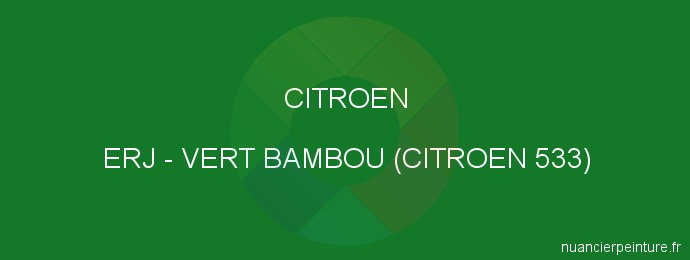 Peinture Citroen ERJ Vert Bambou (citroen 533)