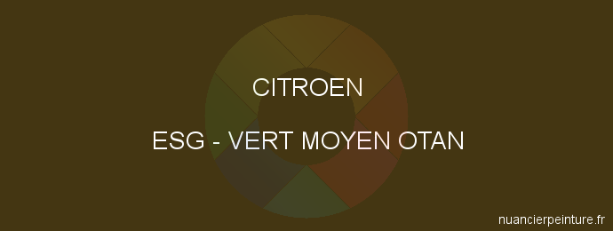 Peinture Citroen ESG Vert Moyen Otan