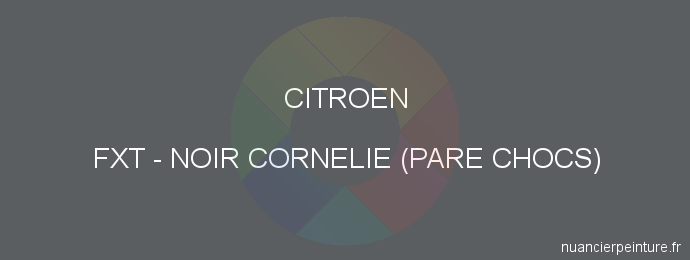 Peinture Citroen FXT Noir Cornelie (pare Chocs)