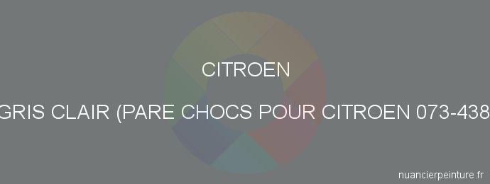 Peinture Citroen FYL Gris Clair (pare Chocs Pour Citroen 073-4387-200)