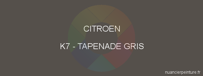 Peinture Citroen K7 Tapenade Gris