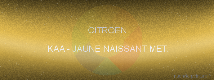 Peinture Citroen KAA Jaune Naissant Met.