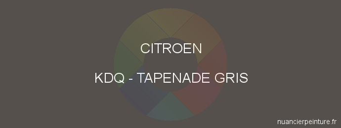 Peinture Citroen KDQ Tapenade Gris