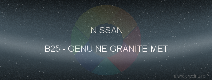 Peinture Nissan B25 Genuine Granite Met.