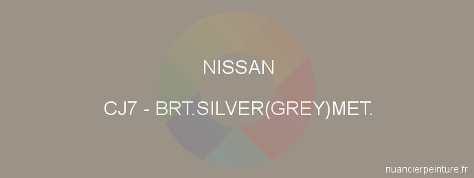 Peinture Nissan CJ7 Brt.silver(grey)met.