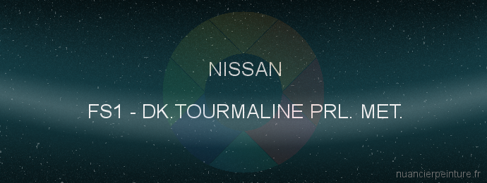 Peinture Nissan FS1 Dk.tourmaline Prl. Met.