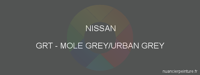 Peinture Nissan GRT Mole Grey/urban Grey