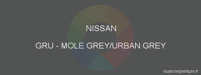 Peinture Nissan GRU Mole Grey/urban Grey