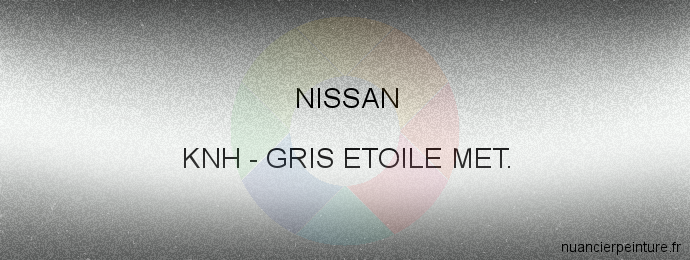 Peinture Nissan KNH Gris Etoile Met.