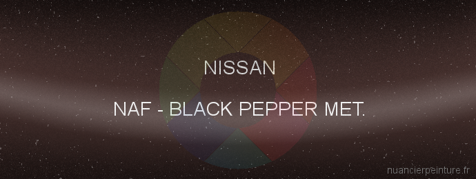 Peinture Nissan NAF Black Pepper Met.