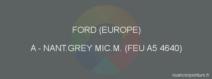 Peinture Ford (europe) A Nant.grey Mic.m. (feu A5 4640)