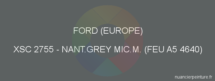 Peinture Ford (europe) XSC 2755 Nant.grey Mic.m. (feu A5 4640)
