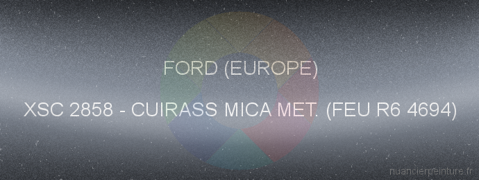 Peinture Ford (europe) XSC 2858 Cuirass Mica Met. (feu R6 4694)