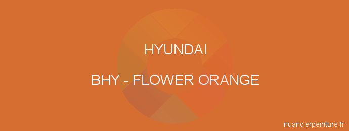 Peinture Hyundai BHY Flower Orange