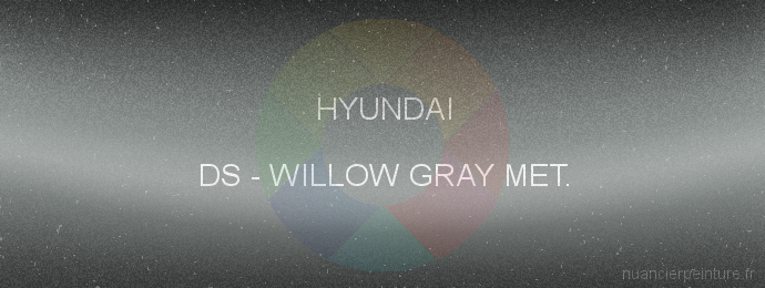Peinture Hyundai DS Willow Gray Met.