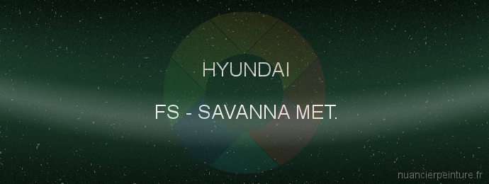 Peinture Hyundai FS Savanna Met.