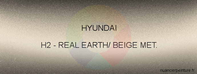 Peinture Hyundai H2 Real Earth/ Beige Met.