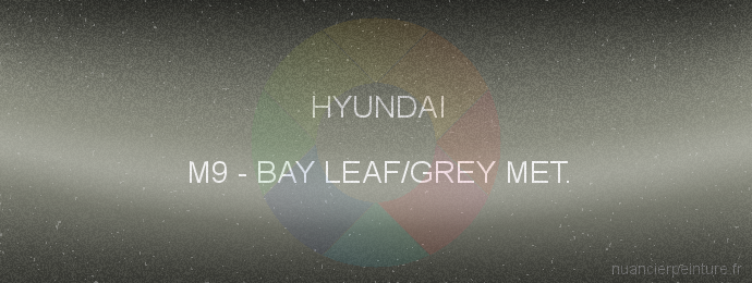Peinture Hyundai M9 Bay Leaf/grey Met.