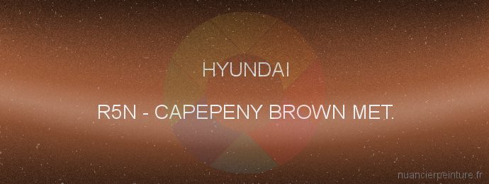 Peinture Hyundai R5N Capepeny Brown Met.