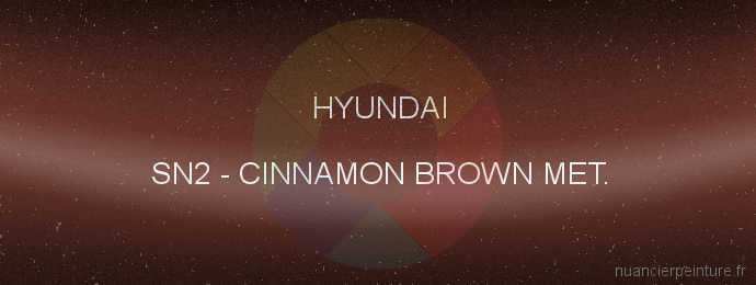 Peinture Hyundai SN2 Cinnamon Brown Met.