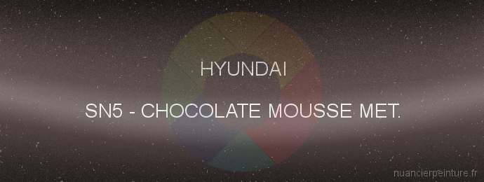 Peinture Hyundai SN5 Chocolate Mousse Met.