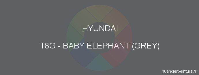 Peinture Hyundai T8G Baby Elephant (grey)