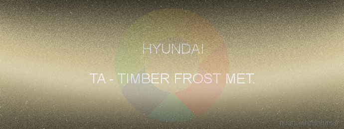 Peinture Hyundai TA Timber Frost Met.