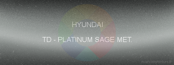 Peinture Hyundai TD Platinum Sage Met.