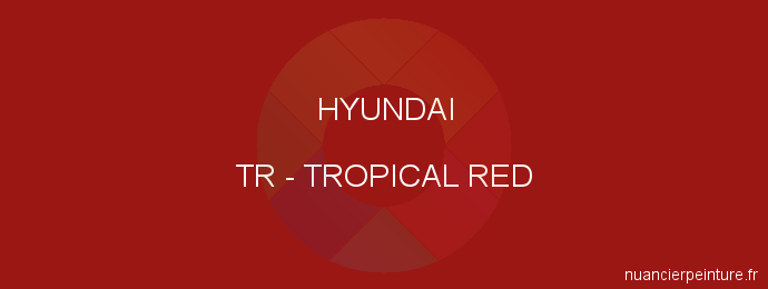 Peinture Hyundai TR Tropical Red