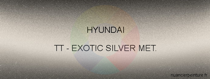 Peinture Hyundai TT Exotic Silver Met.