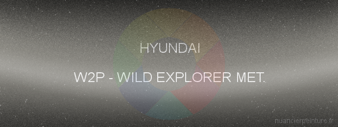 Peinture Hyundai W2P Wild Explorer Met.