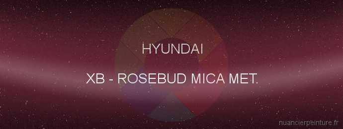 Peinture Hyundai XB Rosebud Mica Met.