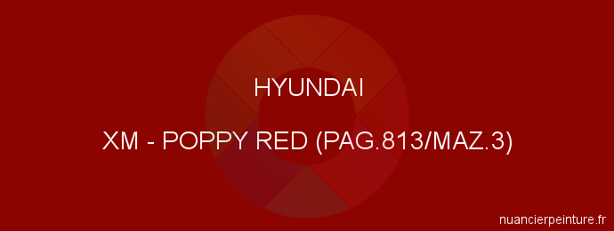 Peinture Hyundai XM Poppy Red (pag.813/maz.3)