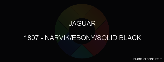 Peinture Jaguar 1807 Narvik/ebony/solid Black