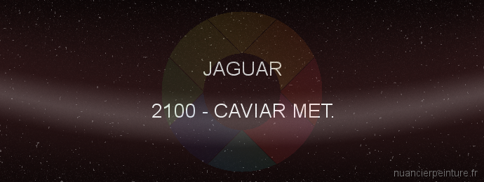 Peinture Jaguar 2100 Caviar Met.