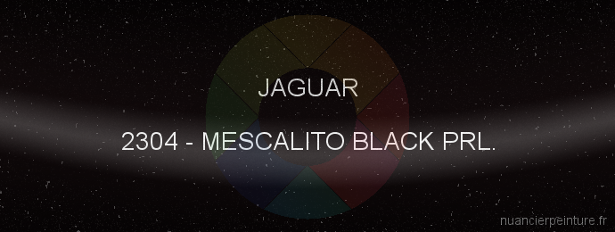 Peinture Jaguar 2304 Mescalito Black Prl.