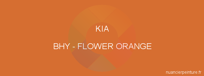 Peinture Kia BHY Flower Orange