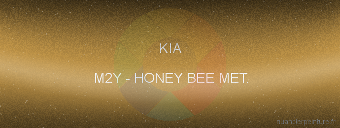 Peinture Kia M2Y Honey Bee Met.