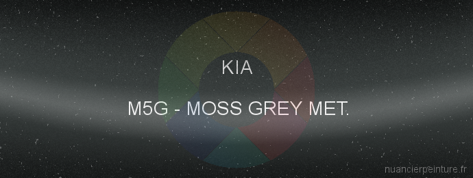 Peinture Kia M5G Moss Grey Met.