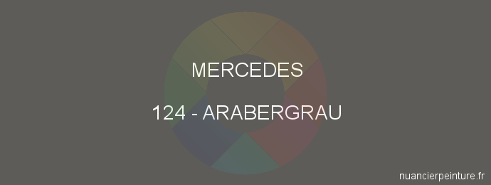 Peinture Mercedes 124 Arabergrau