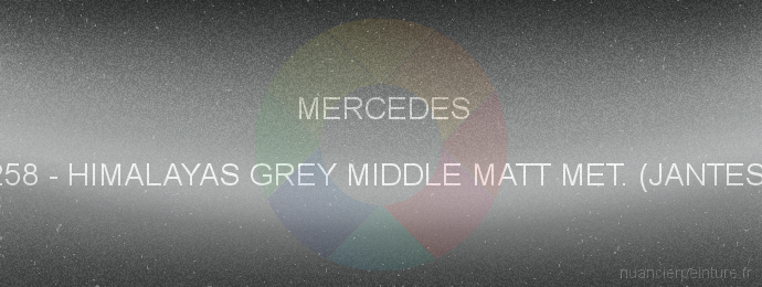 Peinture Mercedes 258 Himalayas Grey Middle Matt Met. (jantes)