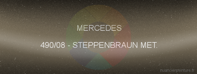 Peinture Mercedes 490/08 Steppenbraun Met.