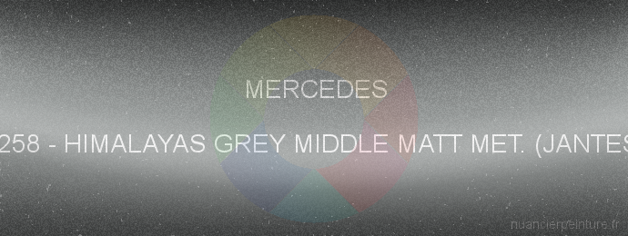 Peinture Mercedes 7258 Himalayas Grey Middle Matt Met. (jantes)