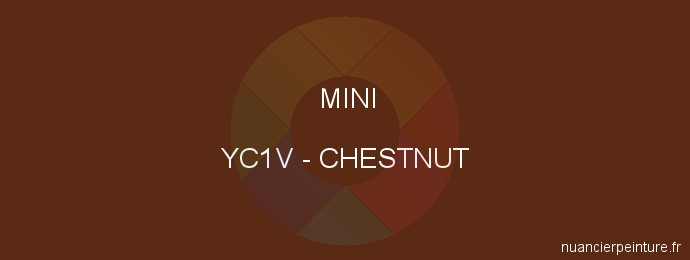 Peinture Mini YC1V Chestnut