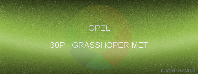 Peinture Opel 30P Grasshoper Met.