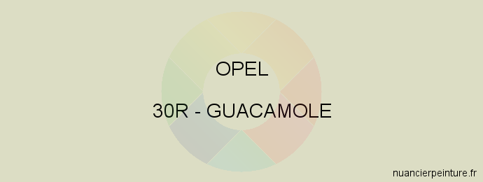 Peinture Opel 30R Guacamole